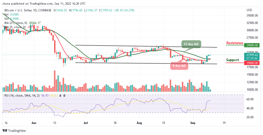 BTC Looks For A Direction; TAMA Goes Bullish