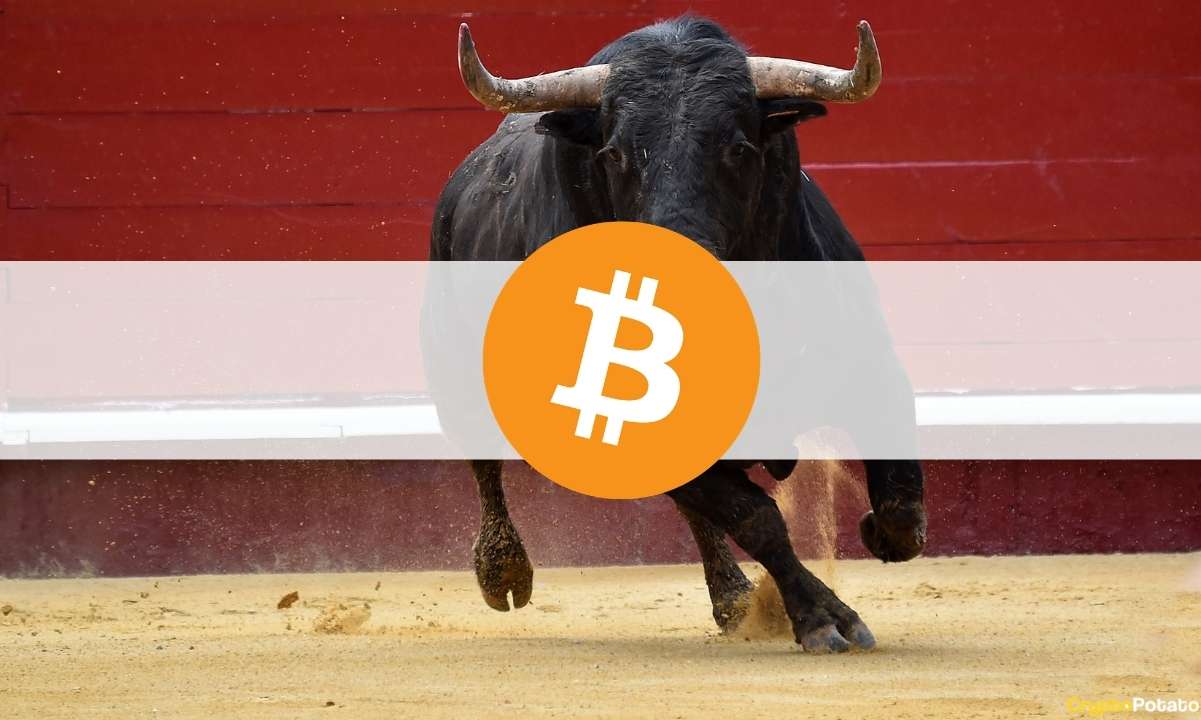 Bitcoin Hodl Patterns Indicate Cycle Shift to Bull Market