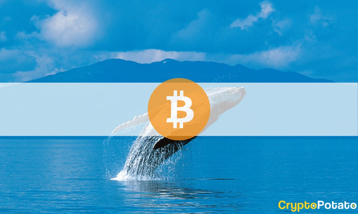 Bitcoin Whale Moves $11 Million in BTC After 12 Years of Inactivity