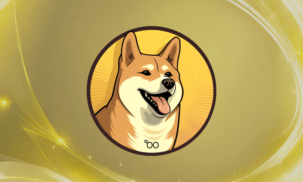 Dogecoin20 Meme Coin Launches ICO and Raises $200K Within Hours